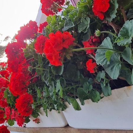 סנסייס Finca Sa Cova De Mallorca מראה חיצוני תמונה