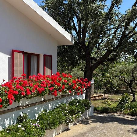 סנסייס Finca Sa Cova De Mallorca מראה חיצוני תמונה