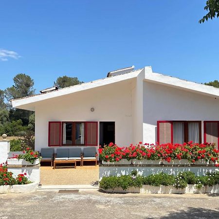 סנסייס Finca Sa Cova De Mallorca מראה חיצוני תמונה