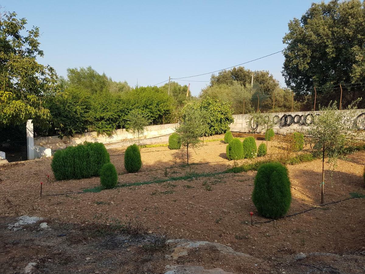 סנסייס Finca Sa Cova De Mallorca מראה חיצוני תמונה